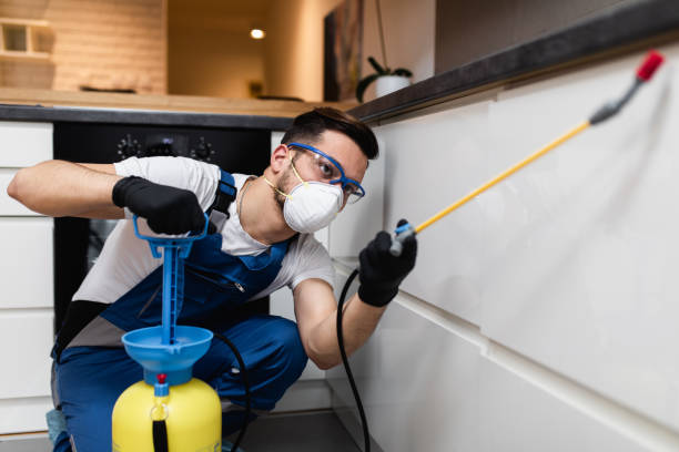 Best Wasp Removal Services  in Portola Valley, CA