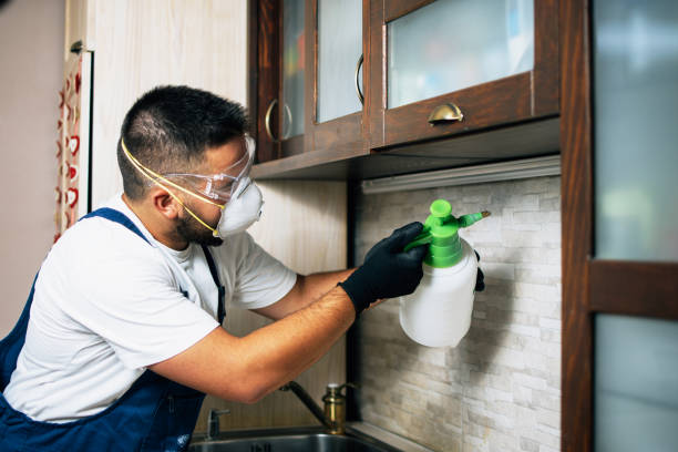 Best Exterminator Services  in Portola Valley, CA