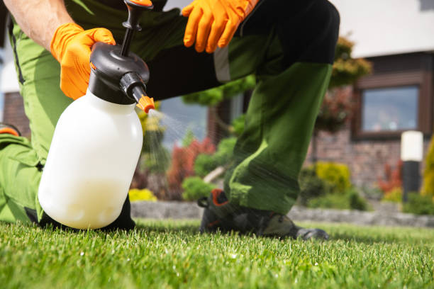 Best Pest Prevention Services  in Portola Valley, CA
