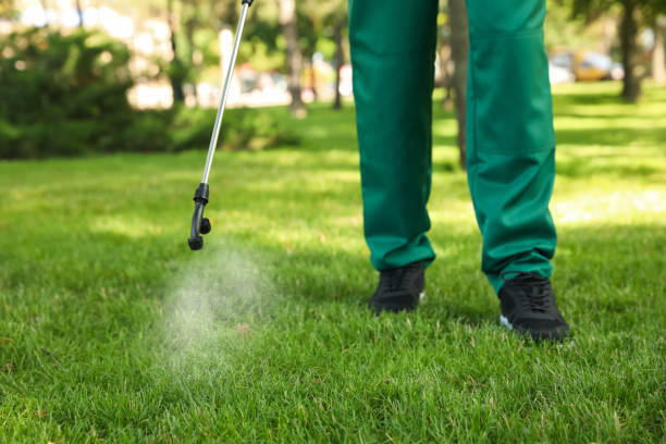 Best Termite Control Services  in Portola Valley, CA