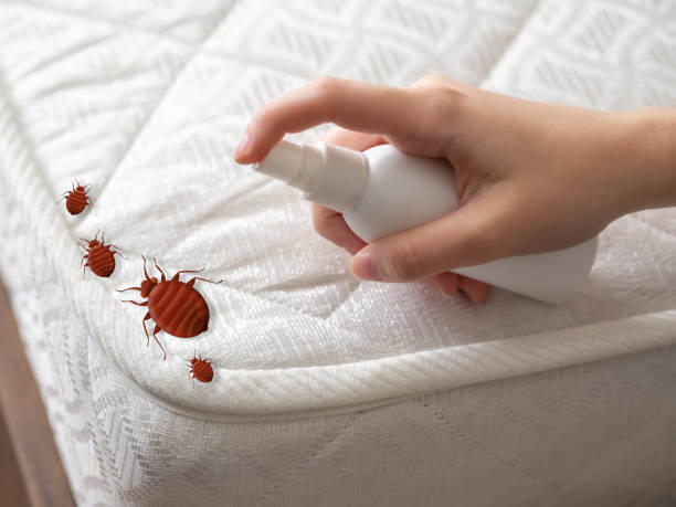 Professional Pest Control in Portola Valley, CA