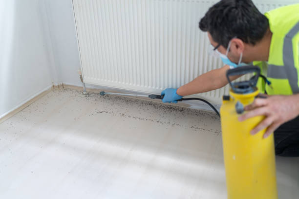 Best Mosquito Control Services  in Portola Valley, CA