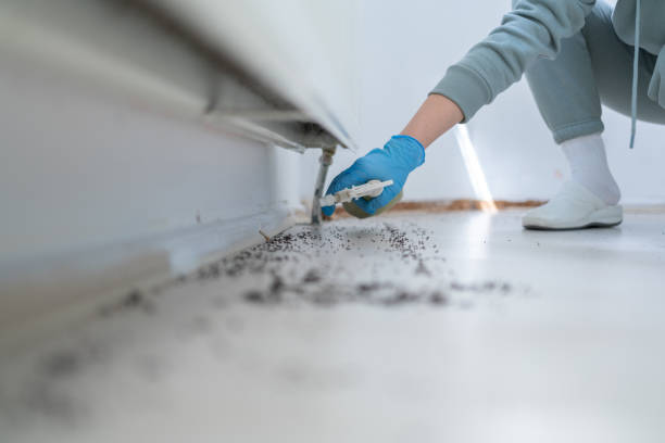 Best Affordable Pest Control Services  in Portola Valley, CA
